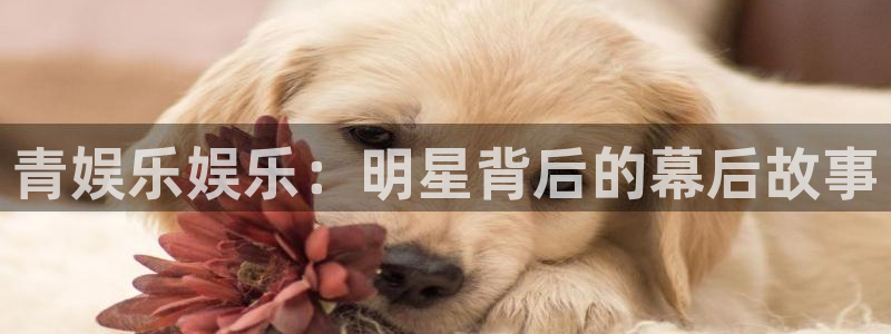 奇亿娱乐手机app下载